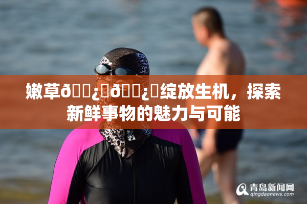 嫩草🌿‌🌿‌绽放生机，探索新鲜事物的魅力与可能