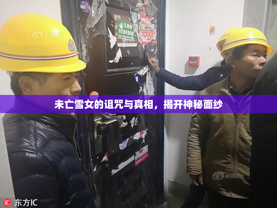 未亡雪女的诅咒与真相，揭开神秘面纱