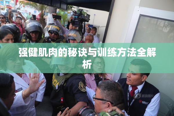 强健肌肉的秘诀与训练方法全解析