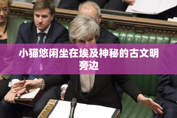 小猫悠闲坐在埃及神秘的古文明旁边