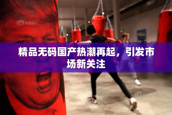 精品无码国产热潮再起，引发市场新关注