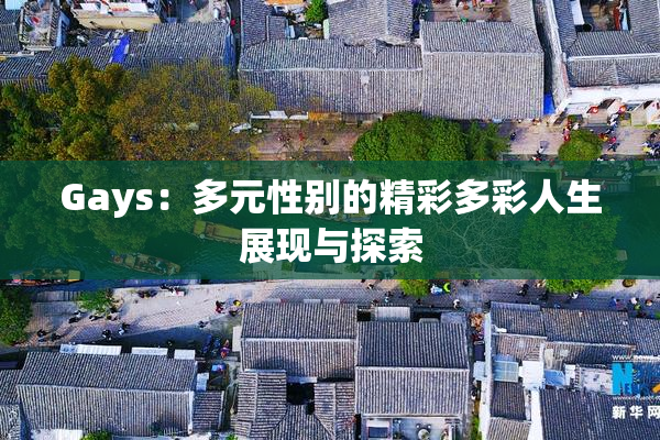 Gays：多元性别的精彩多彩人生展现与探索
