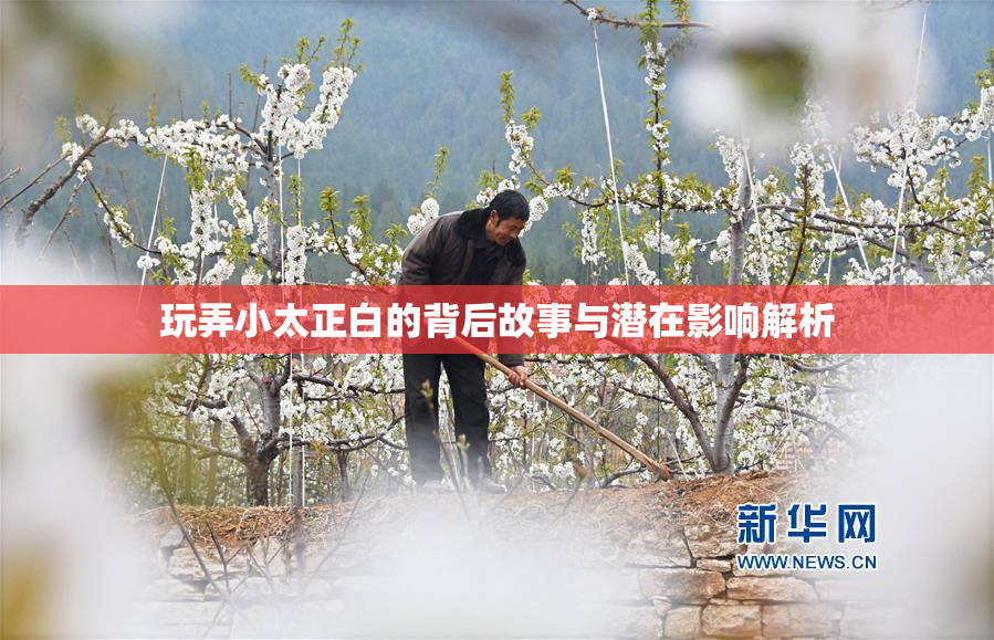 玩弄小太正白的背后故事与潜在影响解析