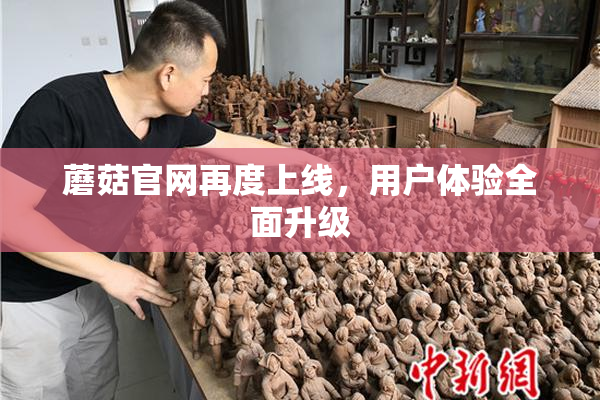 蘑菇官网再度上线，用户体验全面升级
