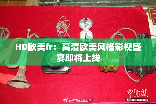 HD欧美fr：高清欧美风格影视盛宴即将上线