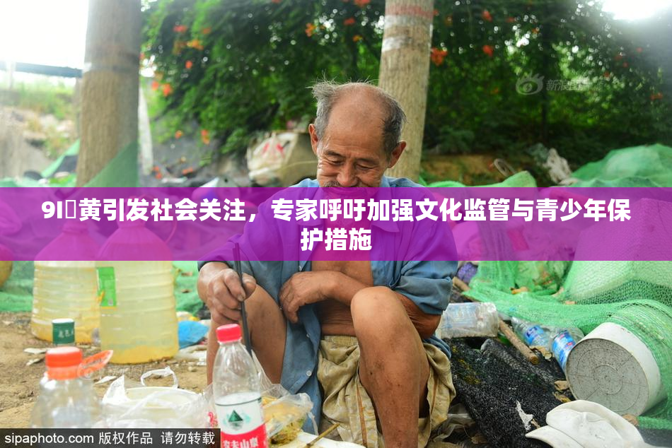 9I婬黄引发社会关注，专家呼吁加强文化监管与青少年保护措施