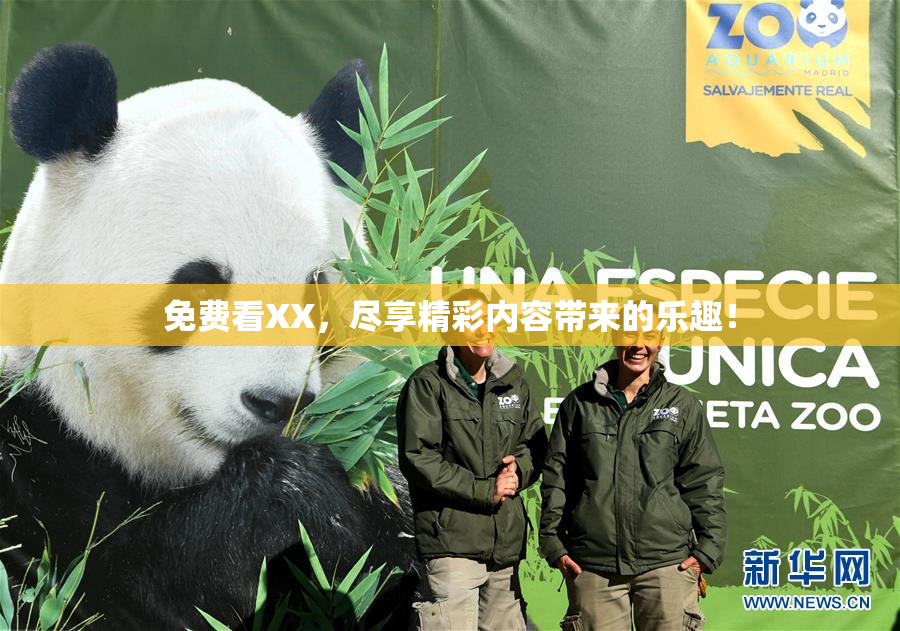 免费看XX，尽享精彩内容带来的乐趣！