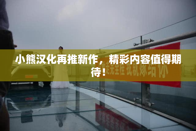 小熊汉化再推新作，精彩内容值得期待！