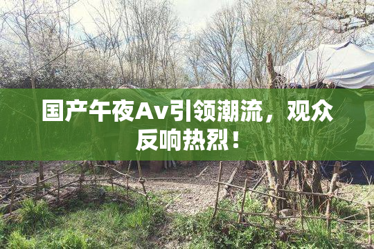 国产午夜Av引领潮流，观众反响热烈！