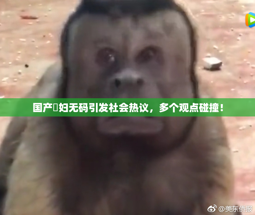 国产婬妇无码引发社会热议，多个观点碰撞！