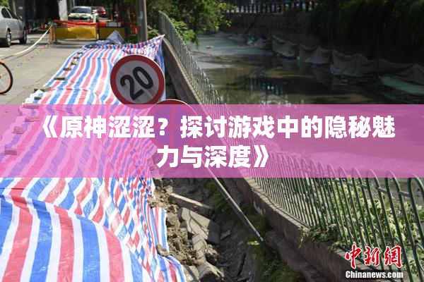 《原神涩涩？探讨游戏中的隐秘魅力与深度》