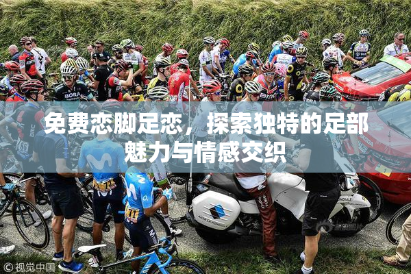 免费恋脚足恋，探索独特的足部魅力与情感交织