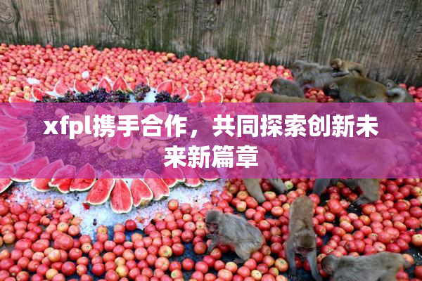 xfpl携手合作，共同探索创新未来新篇章