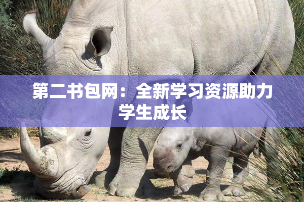 第二书包网：全新学习资源助力学生成长