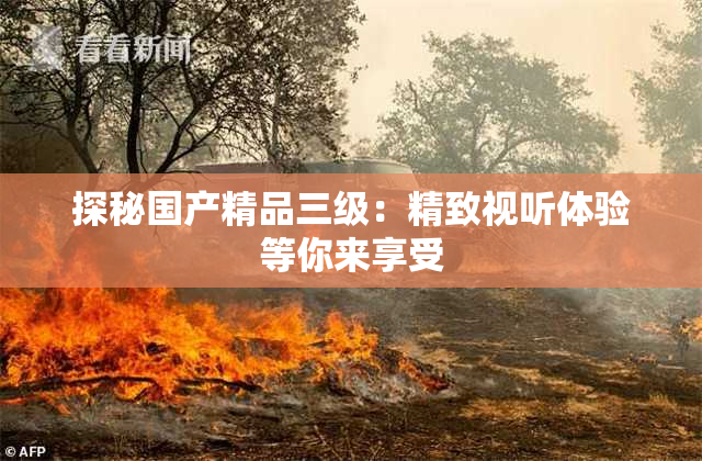 探秘国产精品三级：精致视听体验等你来享受