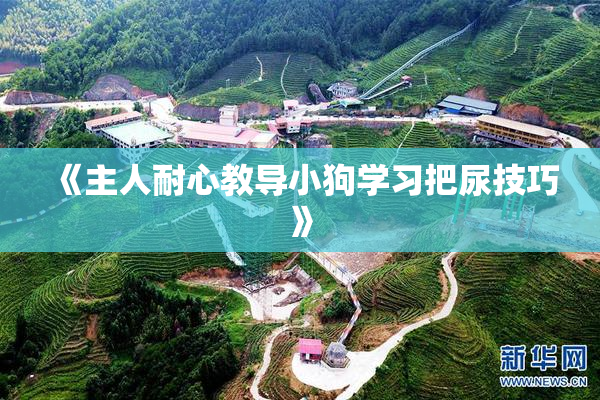 《主人耐心教导小狗学习把尿技巧》