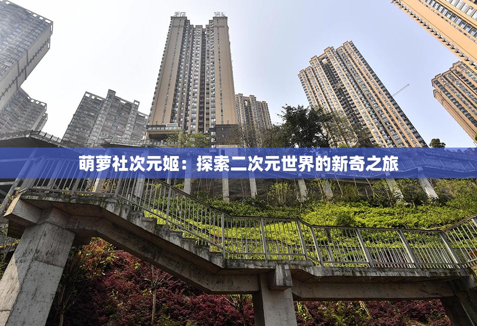 萌萝社次元姬：探索二次元世界的新奇之旅