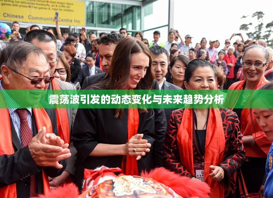 震荡波引发的动态变化与未来趋势分析