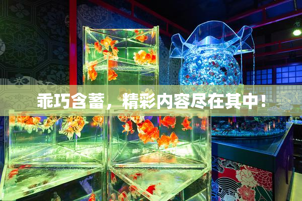 乖巧含蓄，精彩内容尽在其中！