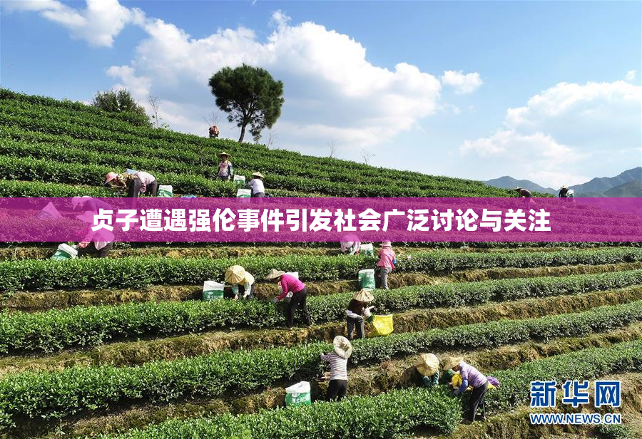 贞子遭遇强伦事件引发社会广泛讨论与关注
