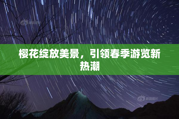 樱花绽放美景，引领春季游览新热潮