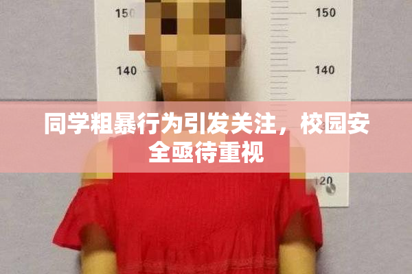同学粗暴行为引发关注，校园安全亟待重视