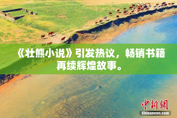 《壮熊小说》引发热议，畅销书籍再续辉煌故事。