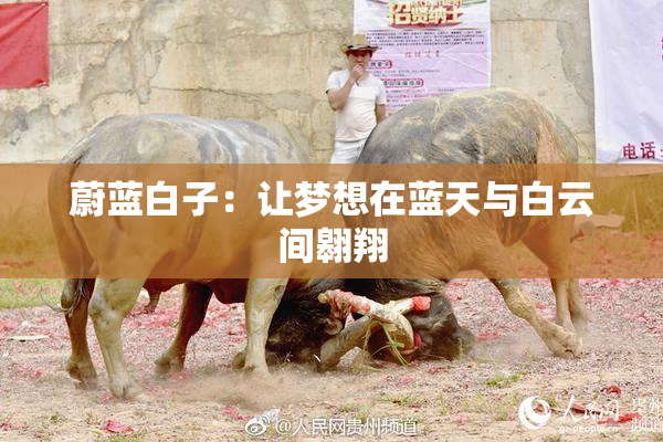 蔚蓝白子：让梦想在蓝天与白云间翱翔