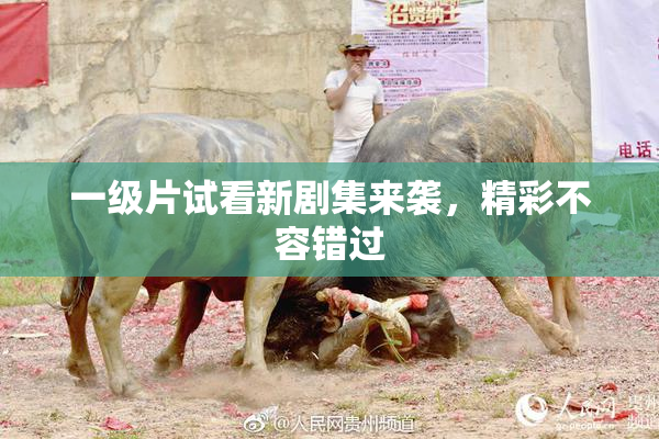 一级片试看新剧集来袭，精彩不容错过