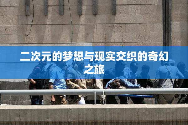 二次元的梦想与现实交织的奇幻之旅