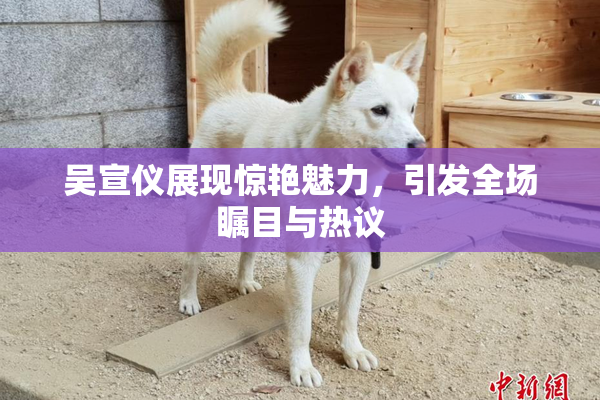 吴宣仪展现惊艳魅力，引发全场瞩目与热议