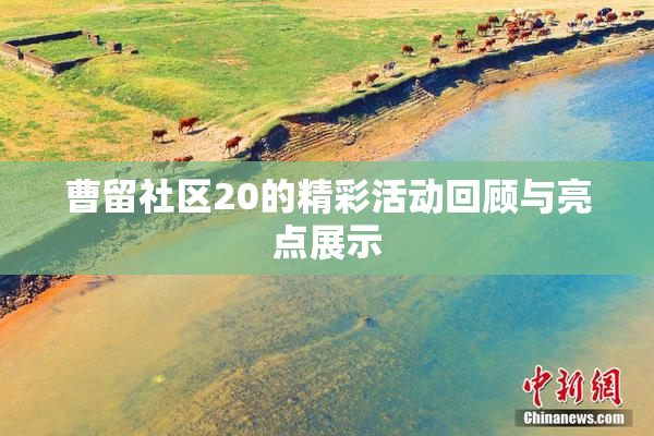 曹留社区20的精彩活动回顾与亮点展示