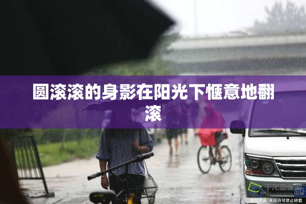 圆滚滚的身影在阳光下惬意地翻滚