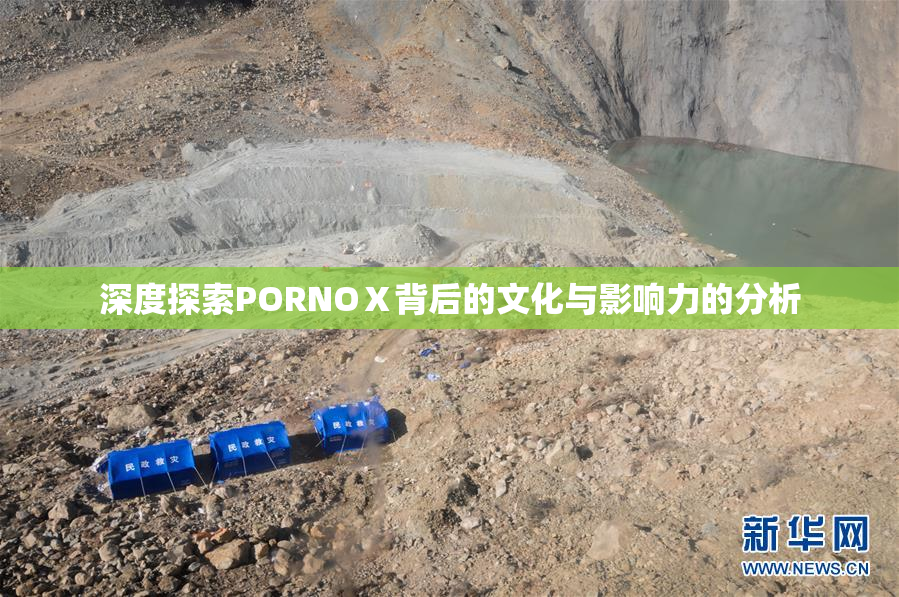 深度探索PORNOⅩ背后的文化与影响力的分析