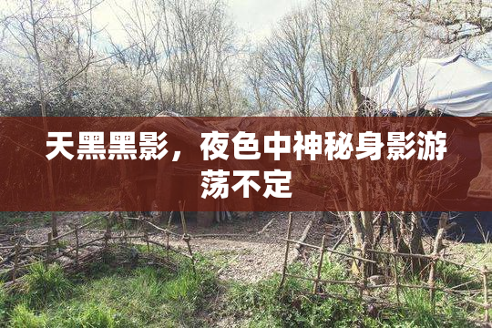 天黑黑影，夜色中神秘身影游荡不定