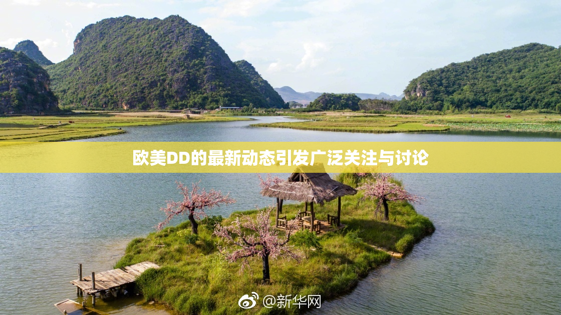 欧美DD的最新动态引发广泛关注与讨论