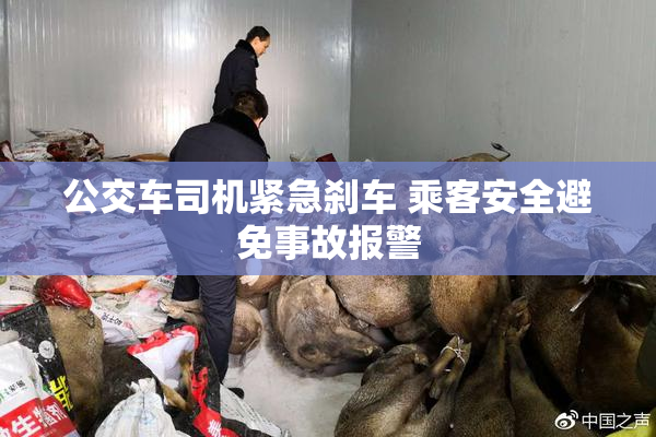 公交车司机紧急刹车 乘客安全避免事故报警