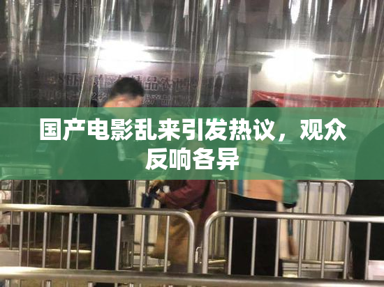 国产电影乱来引发热议，观众反响各异