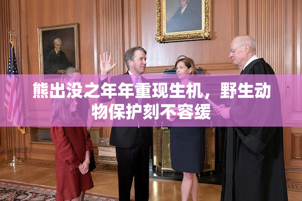 熊出没之年年重现生机，野生动物保护刻不容缓