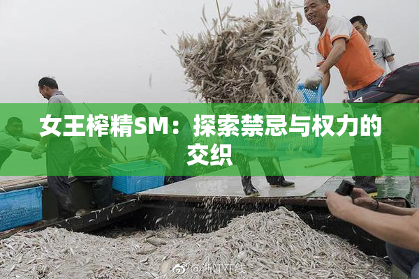 女王榨精SM：探索禁忌与权力的交织