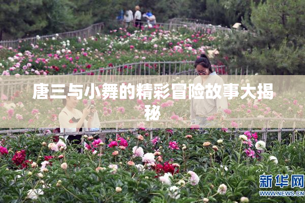 唐三与小舞的精彩冒险故事大揭秘