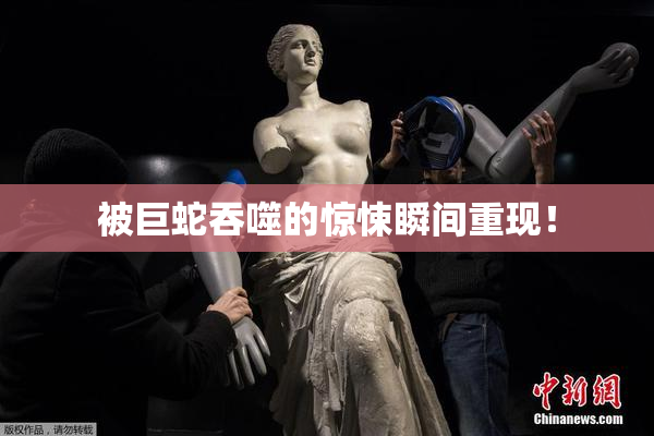 被巨蛇吞噬的惊悚瞬间重现！