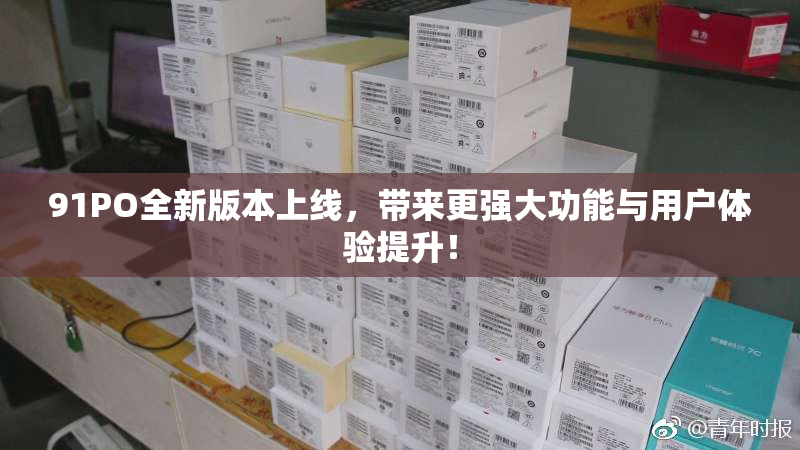 91PO全新版本上线，带来更强大功能与用户体验提升！