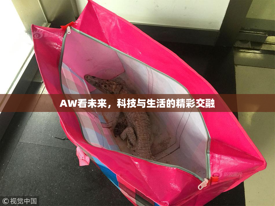 AW看未来，科技与生活的精彩交融