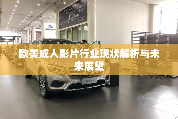 欧美成人影片行业现状解析与未来展望