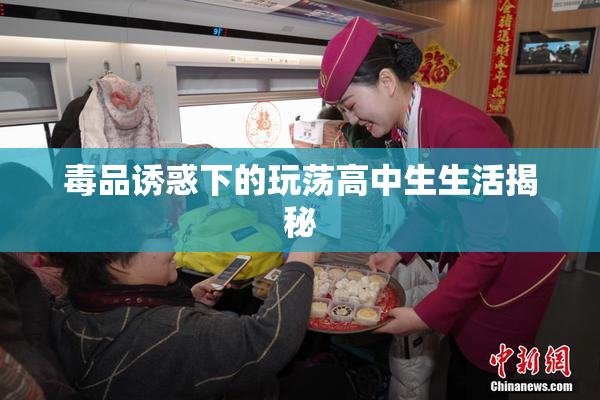 毒品诱惑下的玩荡高中生生活揭秘