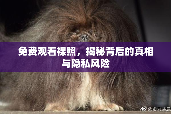 免费观看裸照，揭秘背后的真相与隐私风险