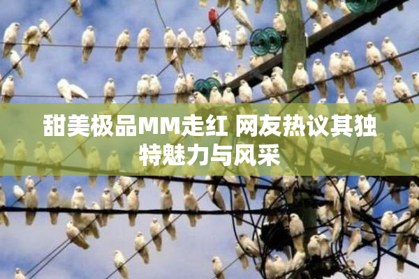 甜美极品MM走红 网友热议其独特魅力与风采