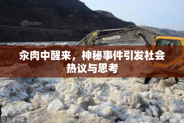 汆肉中醒来，神秘事件引发社会热议与思考