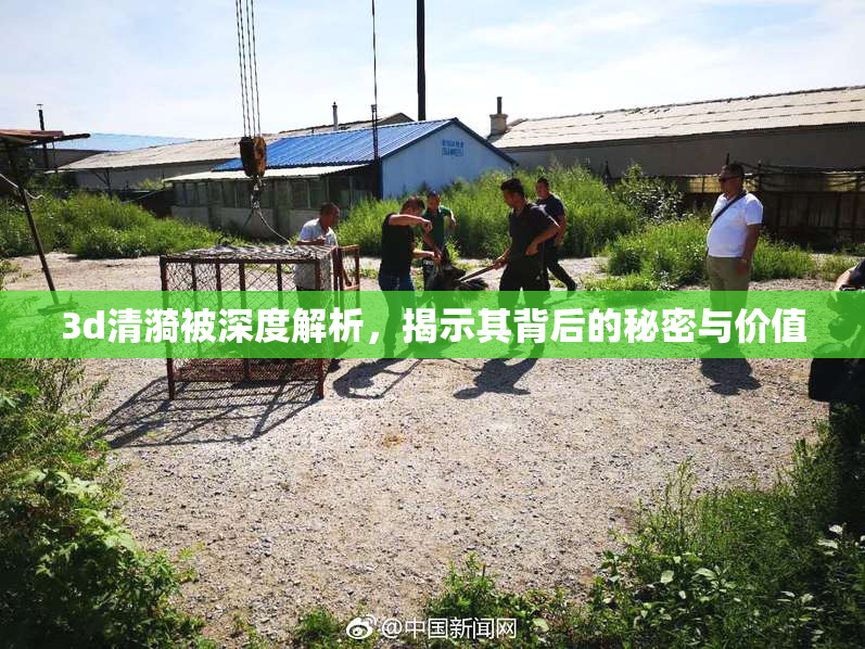 3d清漪被深度解析，揭示其背后的秘密与价值